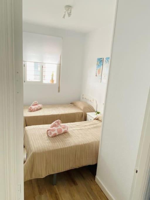 Apartamento*carolapo*con Patio Interior Y Garage Conil De La Frontera